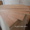 Bintangor Plywood